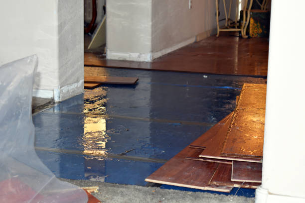 Professional Emergency Water Damage Restoration technician working in Independence, KS